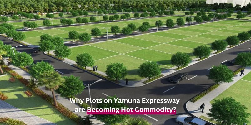 why-plots-on-yamuna-expressway-are-becoming-hot-commodity?