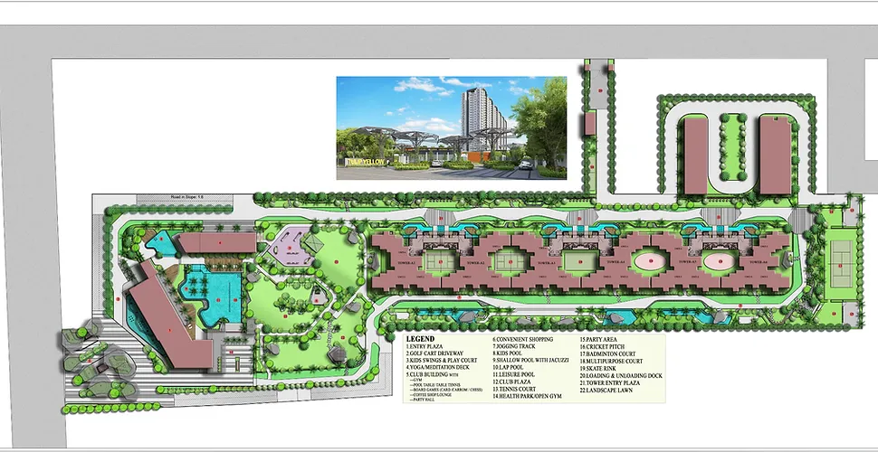 Tulip Yellow  Site Plan